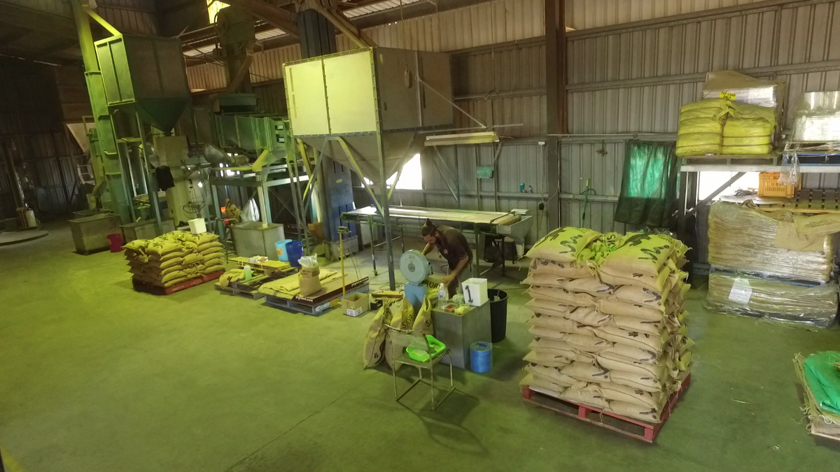 Wet & Dry Processing