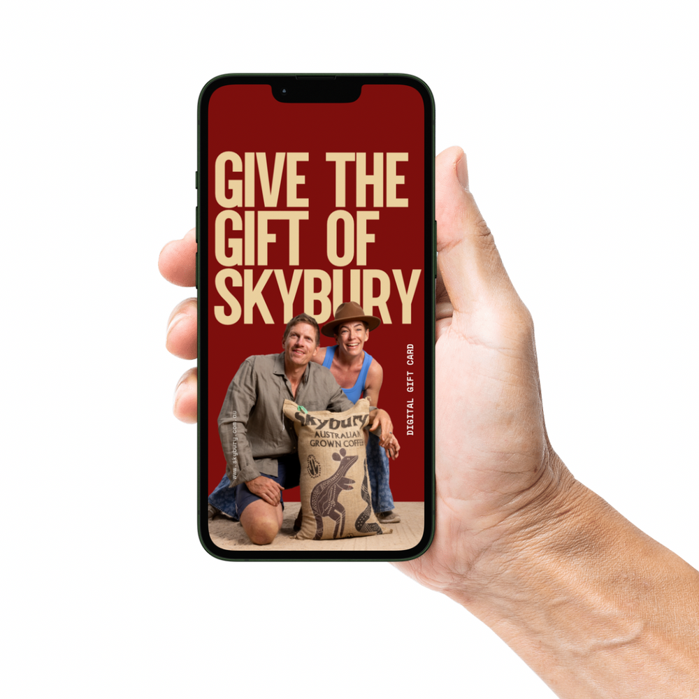 E-Gift Card $25