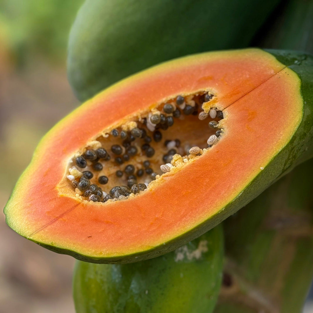 Close-up of a halved papaya with seeds visible, set against a natural background.