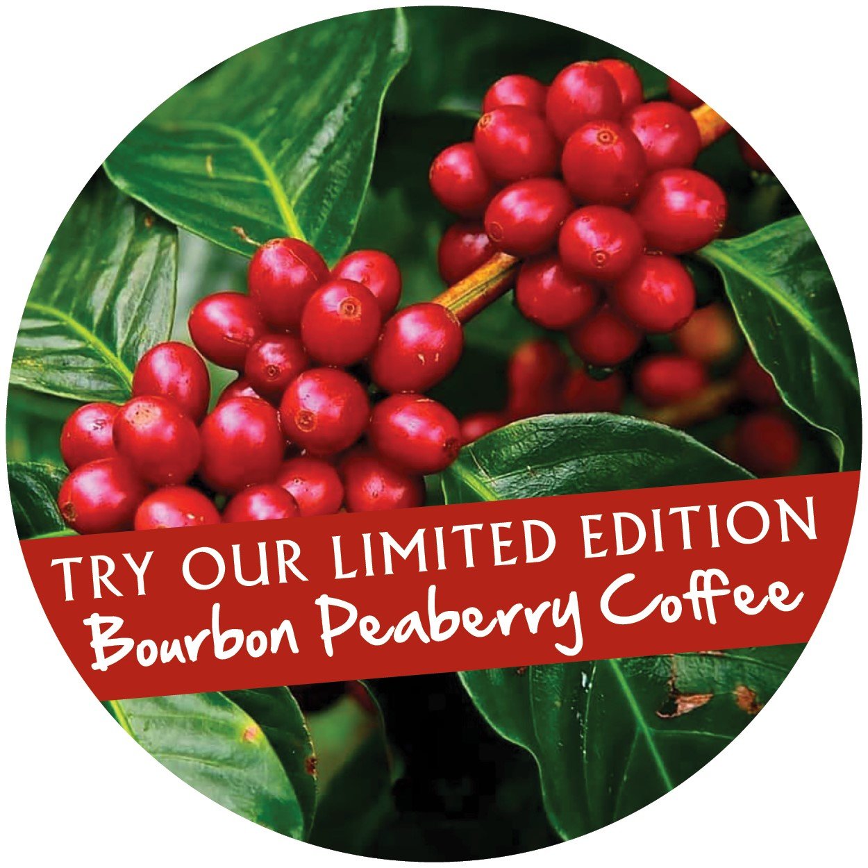 Peaberry Coffee 1 kg -